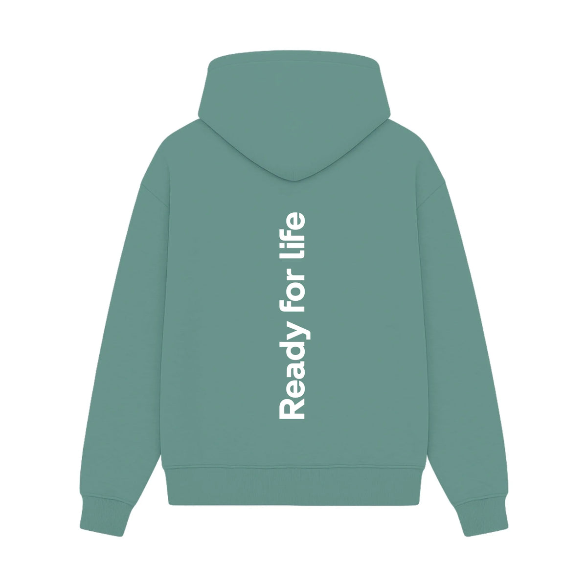 GISF500 HOODIE aquatic back