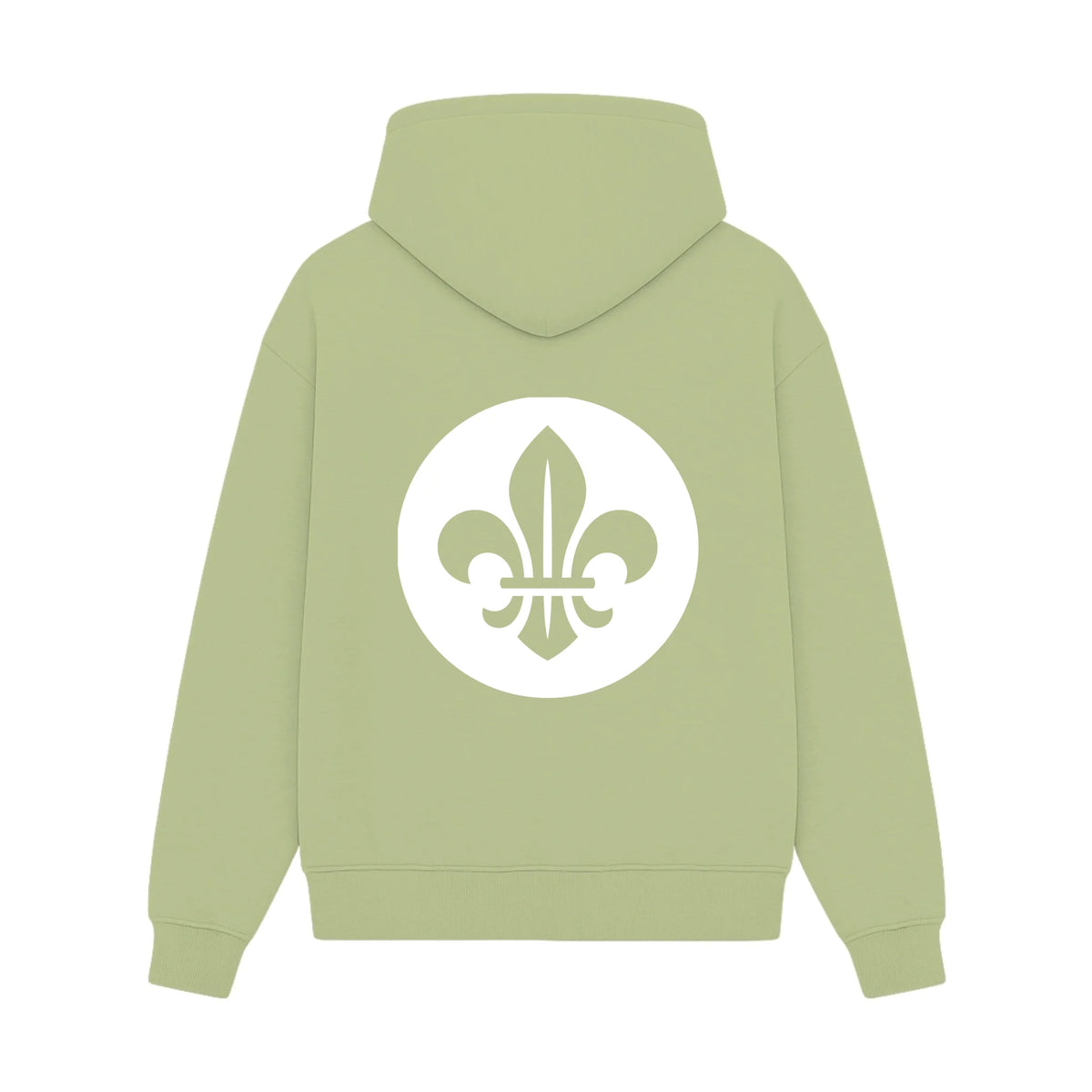 GISF500 HOODIE pistacchio back