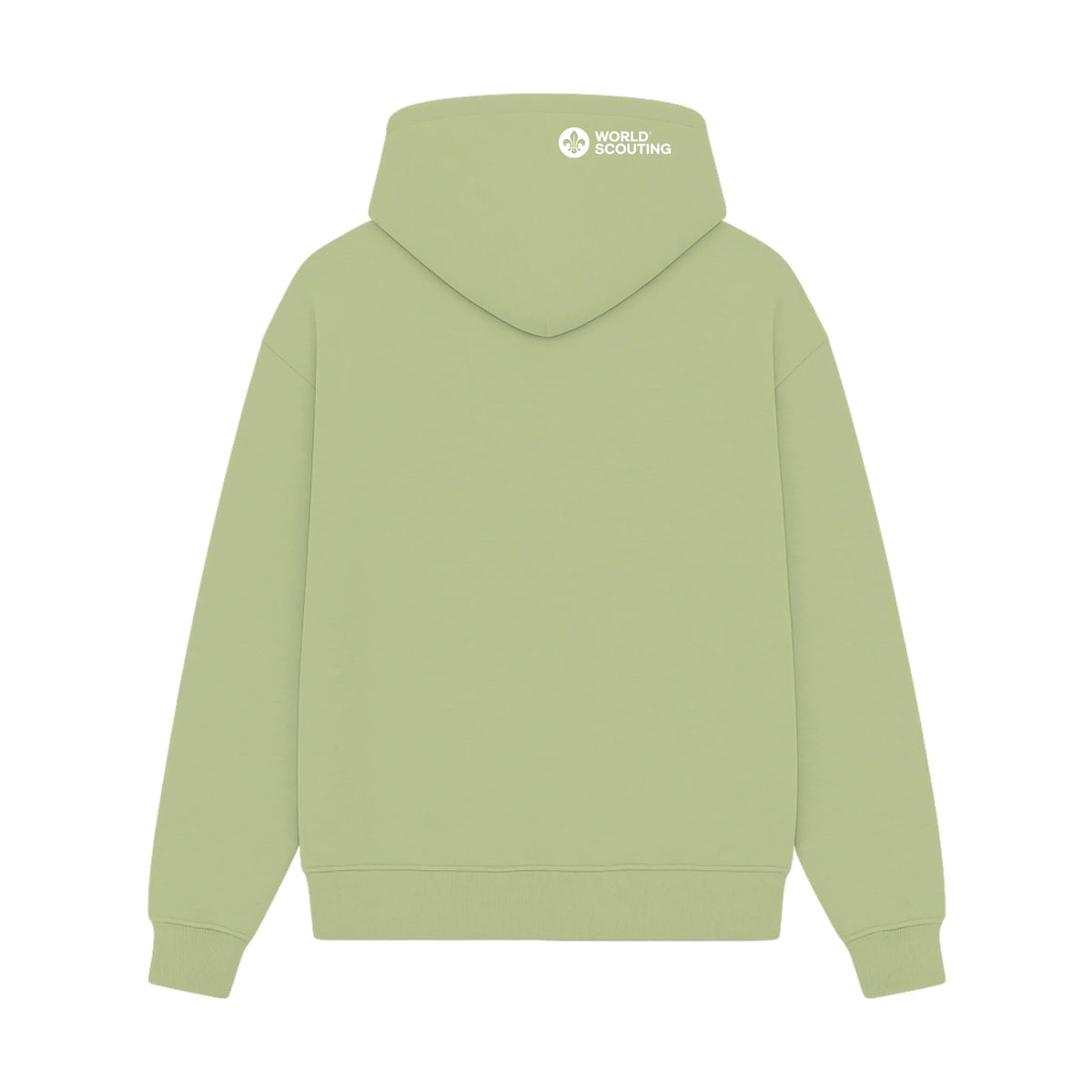 GISF500 HOODIE pistacchio back