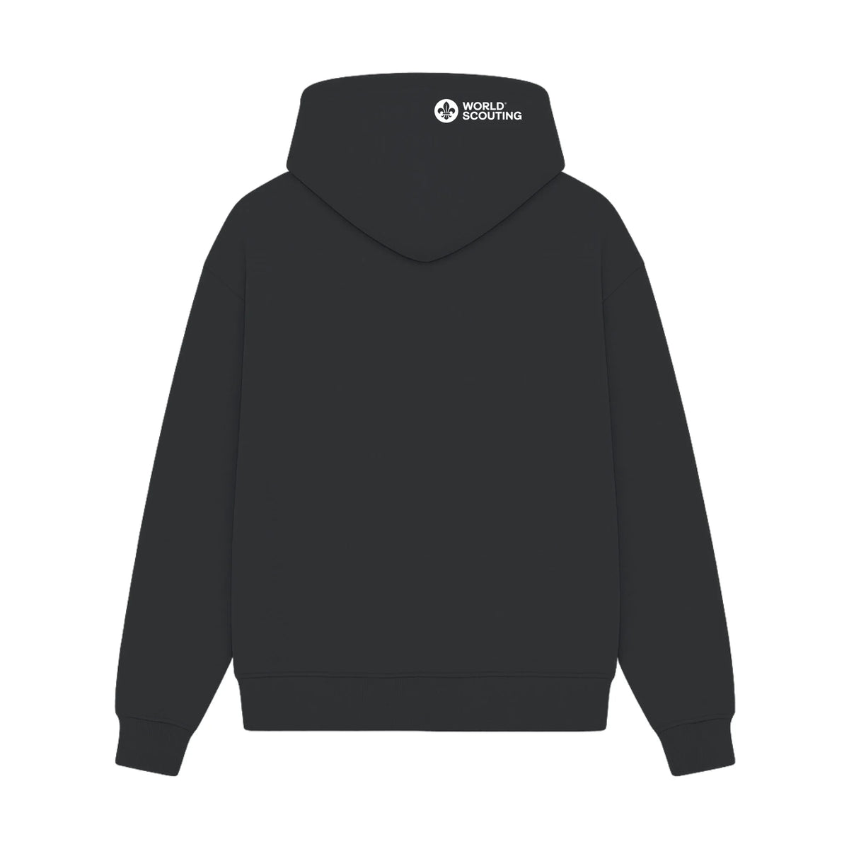 gisf500_black_back