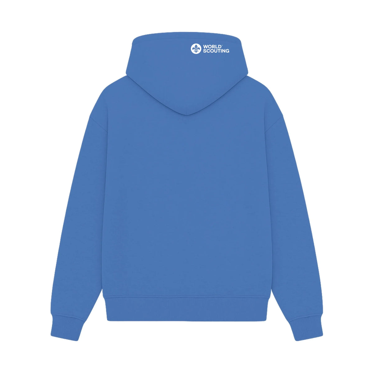 GISF500 HOODIE carolnia blue back