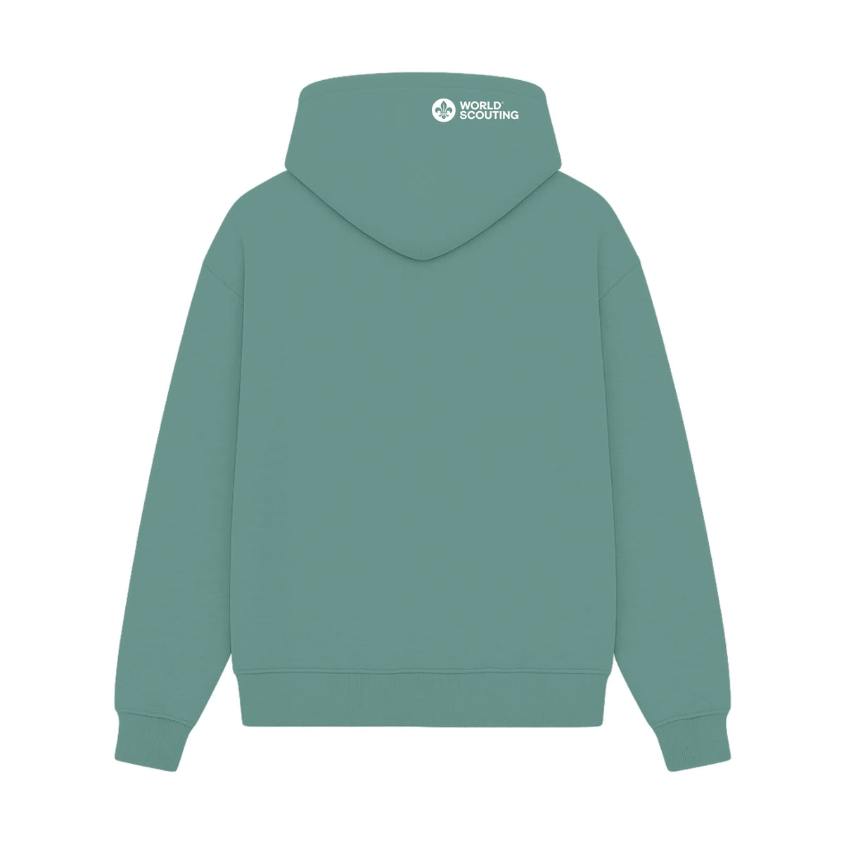 GISF500 HOODIE aquatic back