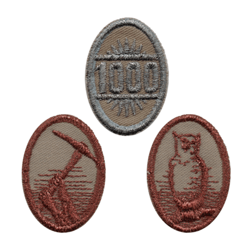 Gyűjtőpróba jelvény